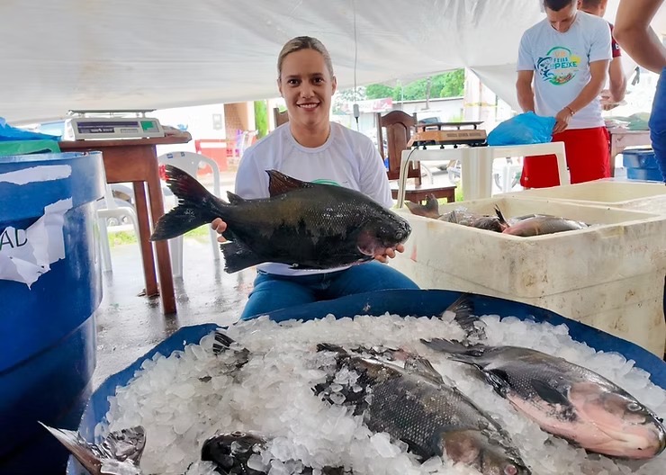 Protagonismo feminino é destaque na VIII Feira do Peixe e Agricultura Familiar de Mâncio Lima