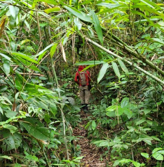 Trabalhadores rurais saem para caçar e desaparecem em área de mata